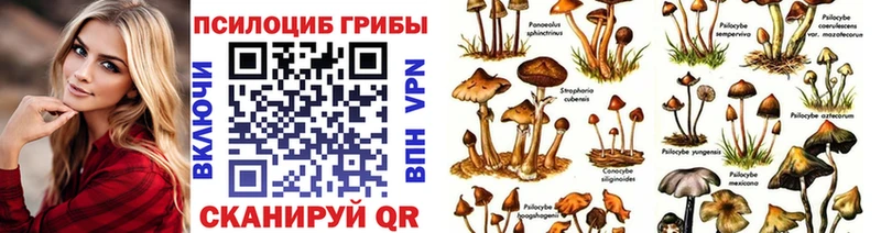 мориарти как зайти  Мытищи  Галлюциногенные грибы Cubensis 